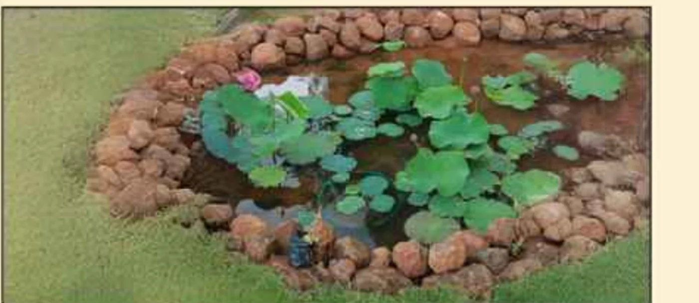 Gravity Smera Gardens Mystic Lagoon pond ecosystem ringed in laterite stone Gravity Smera Gardens Mystic Lagoon pond ecosystem ringed in laterite stone